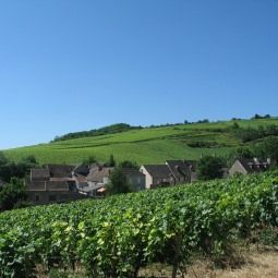 Study on rural tourist lodging in Burgundy