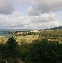 Définition et faisabilité du Centre des Cultures Caribéennes en Martinique