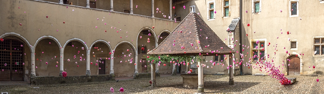 Marie-Hélène RICHARD, L’Échappée belle, 2015. Installation dans le 3e cloître du monastère royal de Brou (Bourg-en-Bresse) dans le cadre de l'exposition À l'ombre d'Eros.